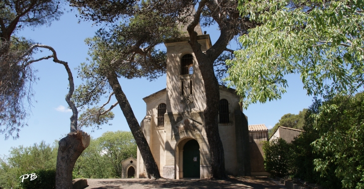 église Saint Amans - Cazedarnes