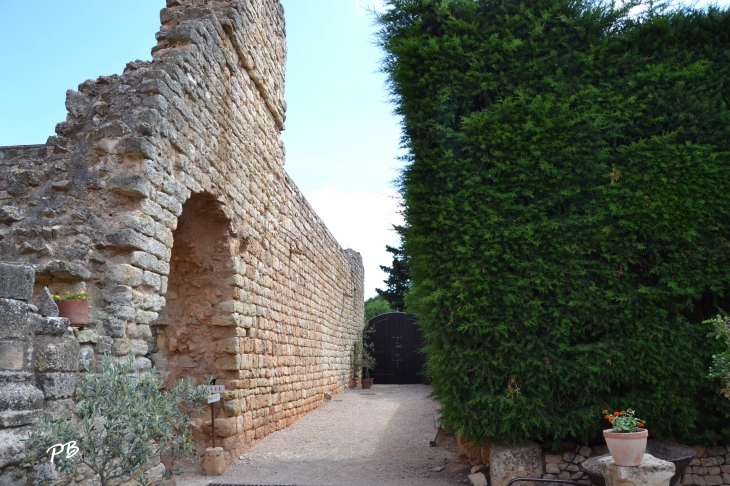 Abbaye de Fontcaude - Cazedarnes