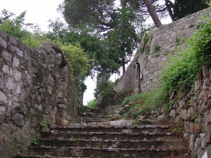 Escalier vers le chateau - Clermont-l'Hérault