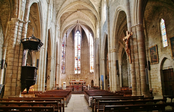 //collégiale Saint-Paul  - Clermont-l'Hérault