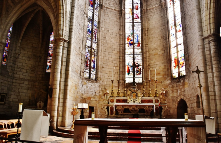 //collégiale Saint-Paul  - Clermont-l'Hérault