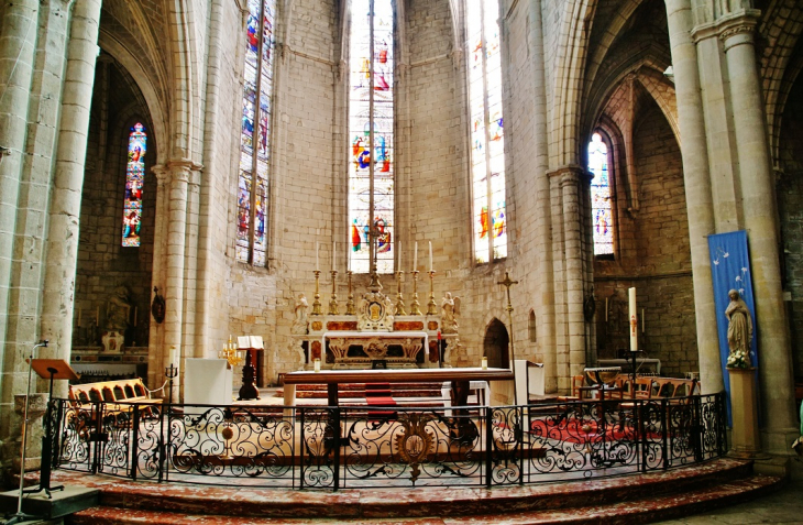 //collégiale Saint-Paul  - Clermont-l'Hérault