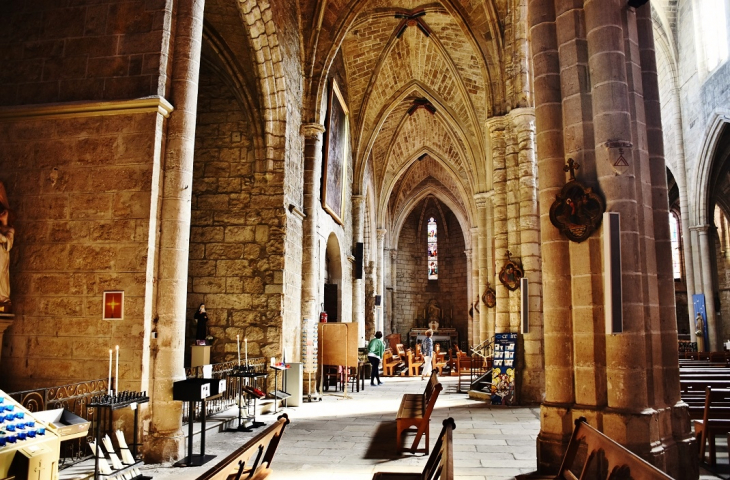 //collégiale Saint-Paul  - Clermont-l'Hérault