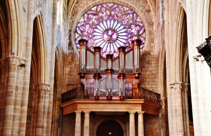 //collégiale Saint-Paul  - Clermont-l'Hérault