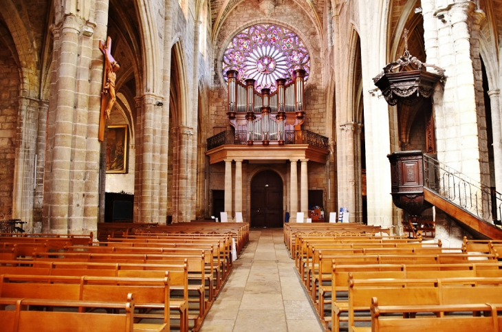 //collégiale Saint-Paul  - Clermont-l'Hérault