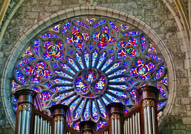 //collégiale Saint-Paul  - Clermont-l'Hérault