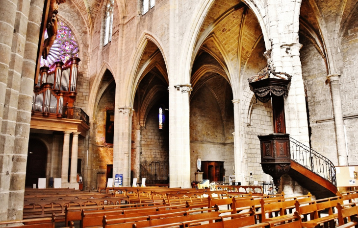 //collégiale Saint-Paul  - Clermont-l'Hérault