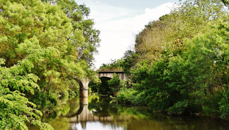 Ruisseau de Coulazou - Fabrègues