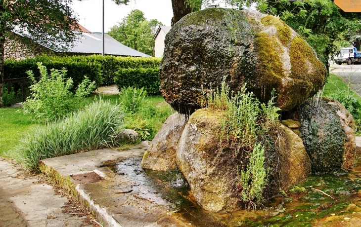 Fontaine - Fraisse-sur-Agout