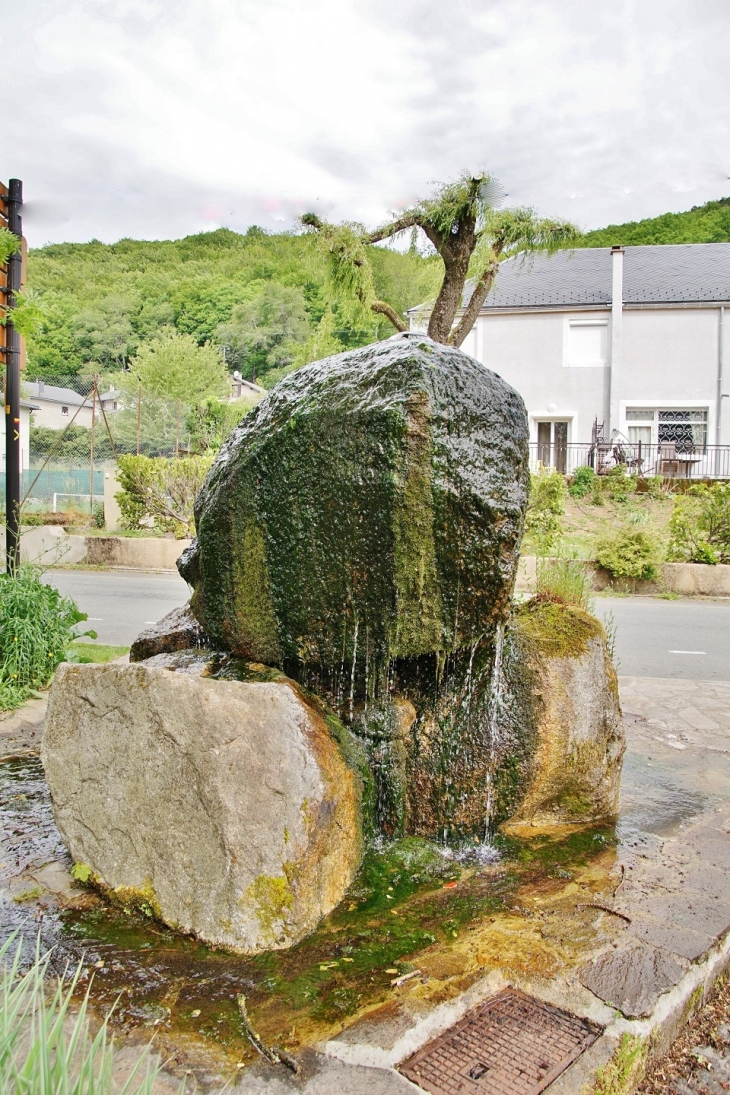 Fontaine - Fraisse-sur-Agout