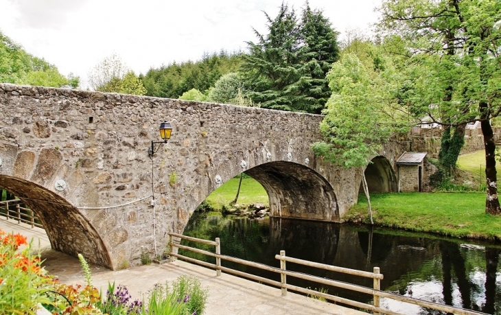 Pont sur L'agout - Fraisse-sur-Agout