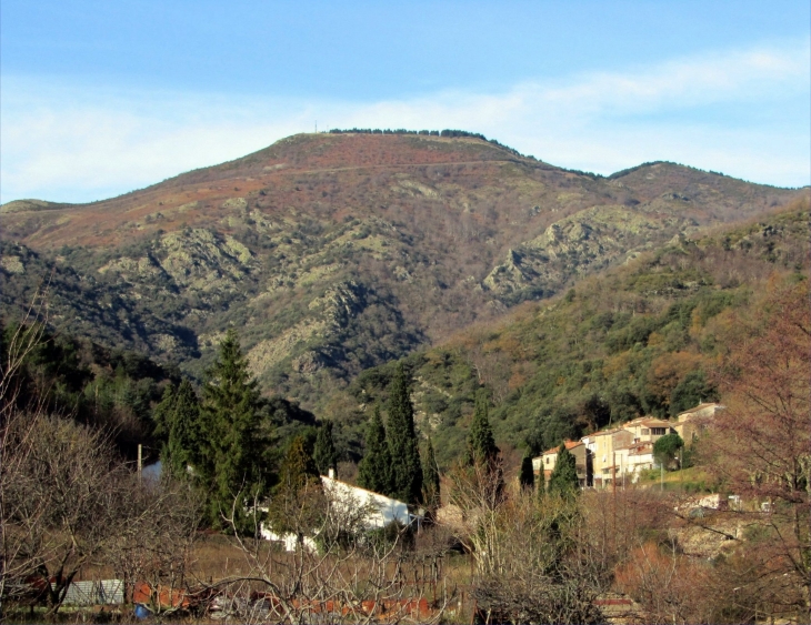 Le Mont Agut au Mont Cabanes - Graissessac