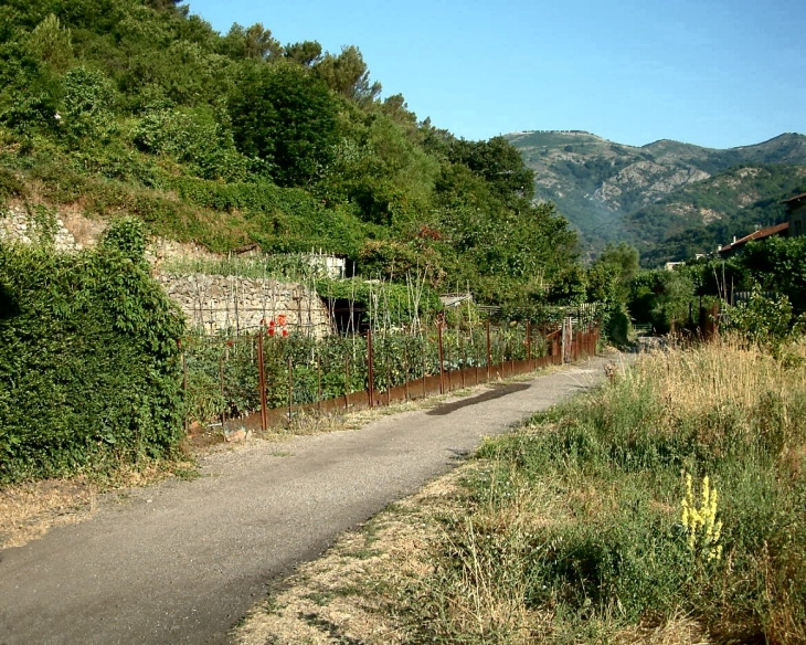 Le petit sentier en contre bas du village allant vers le camping - Graissessac