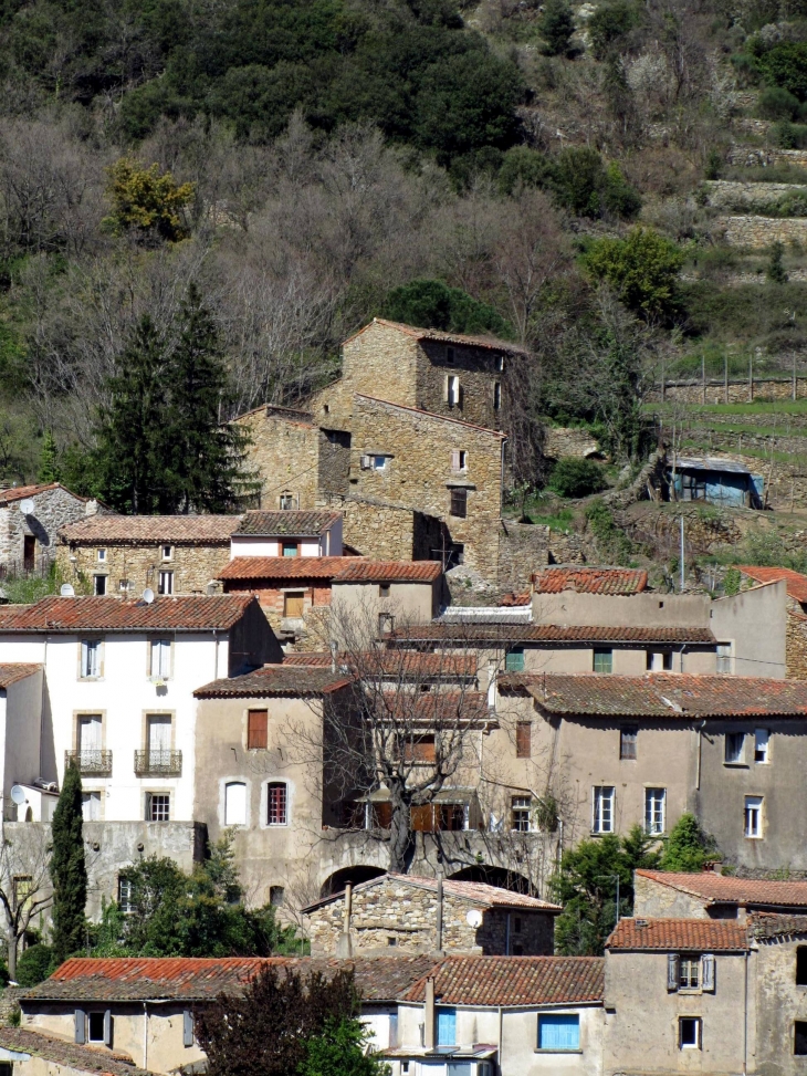 L'Ayrole Haute - Graissessac