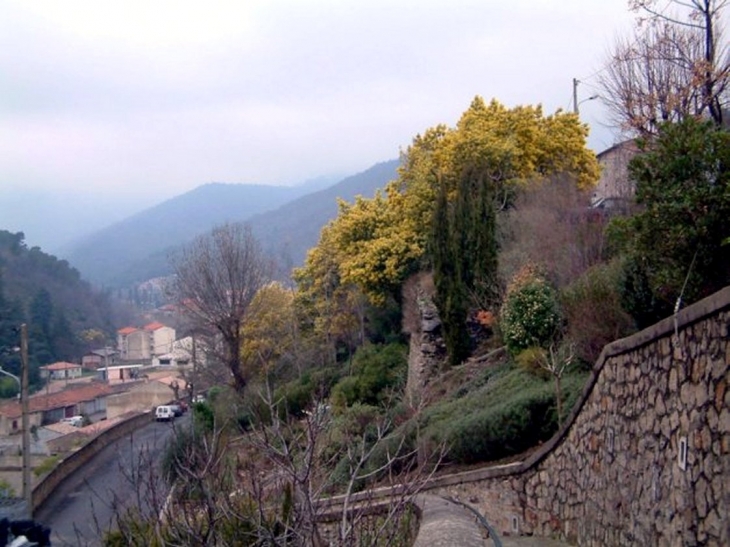 Vue sur le village - Graissessac