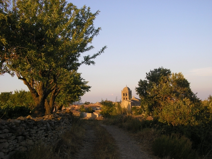 Le village vu des vignes du sud - La Livinière