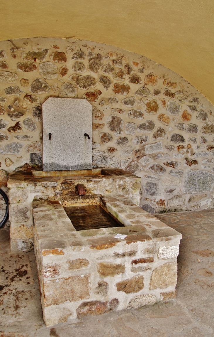 Fontaine - La Salvetat-sur-Agout