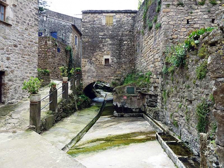 Maison enjambant le ru - La Tour-sur-Orb