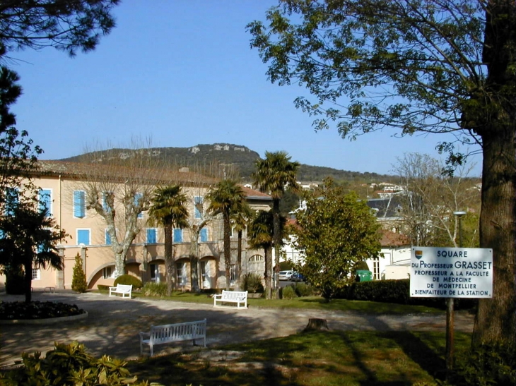 Square du Professeur Grasset - Lamalou-les-Bains