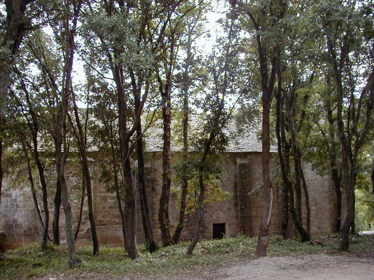 Eglise St-Pierre de Rhèdes derrière les arbres - Lamalou-les-Bains