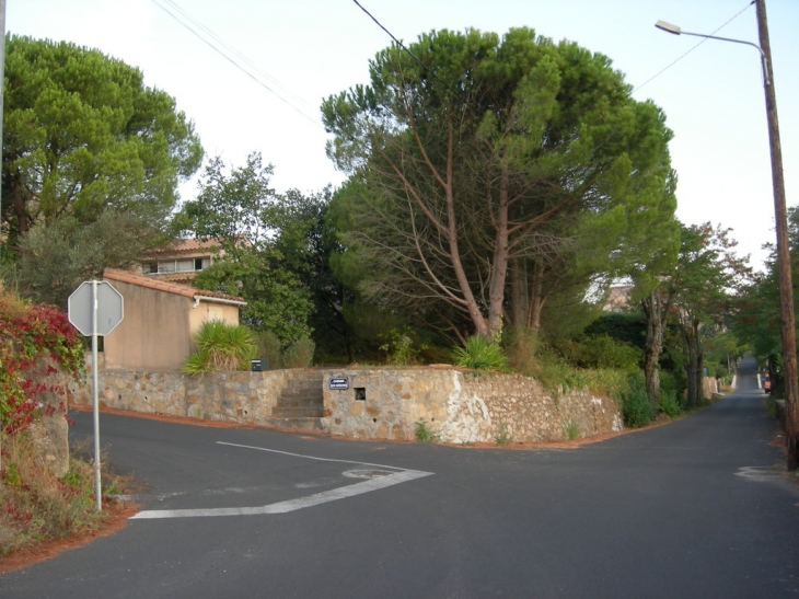 Vue de la rue de st Martin - Le Bousquet-d'Orb