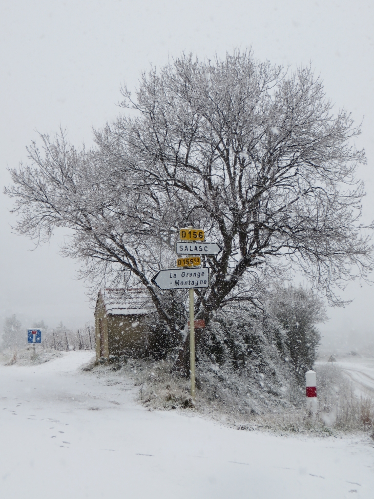 Sur la route de La Grange - Liausson