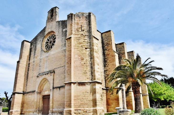 +++église Sainte-Cécile  - Loupian