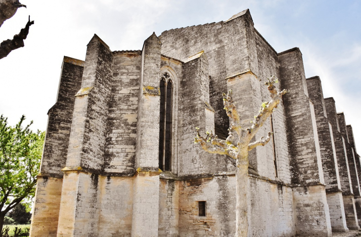 +++église Sainte-Cécile  - Loupian