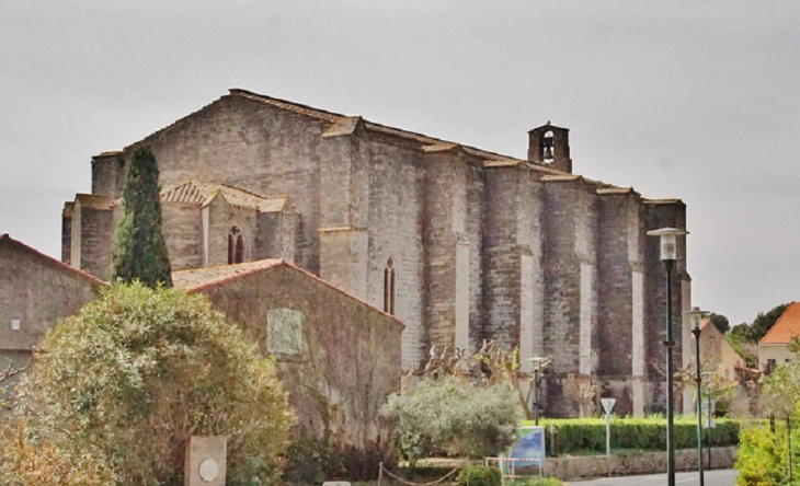 +++église Sainte-Cécile  - Loupian