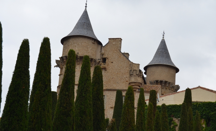 Château de Margon 13/16 Em Siècle