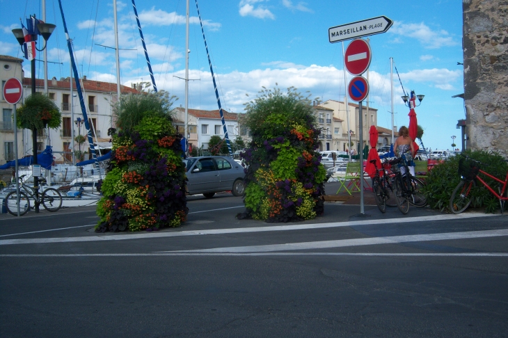 Superbe - Marseillan