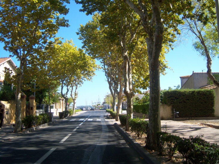 Le port - Marseillan