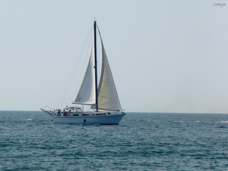 Mauguio. Port de Carnon.