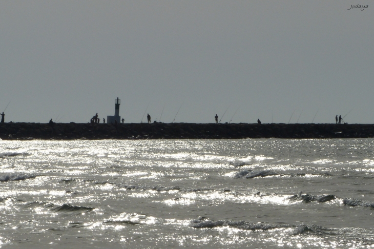 Mauguio. Port de Carnon.