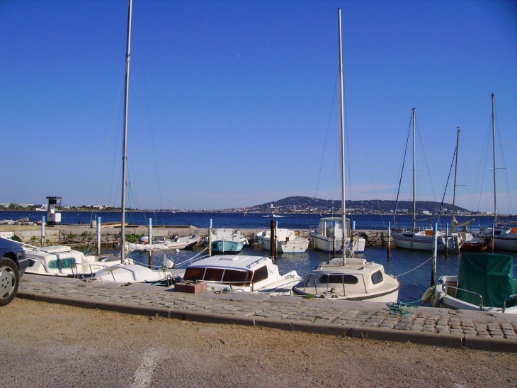 Petit port de Mèze sur l'étang de Thau