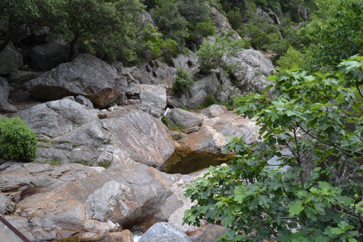 Les Gorges D'Heric ( Mons-la-Trivalle )