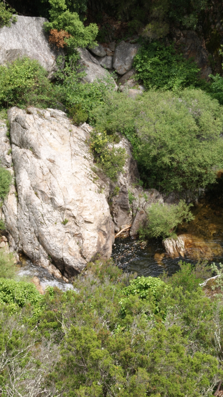 Les Gorges D'Heric ( Mons-la-Trivalle )