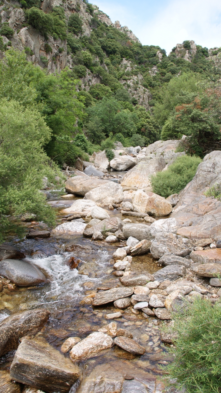 Les Gorges D'Heric ( Mons-la-Trivalle )