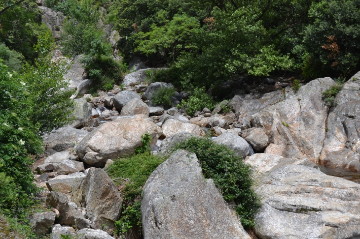 Les Gorges D'Heric ( Mons-la-Trivalle )