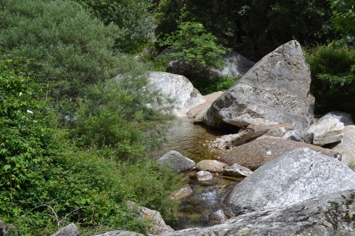 Les Gorges D'Heric ( Mons-la-Trivalle )