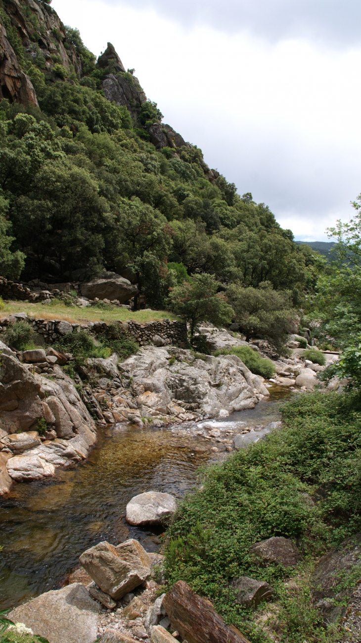 Les Gorges D'Heric ( Mons-la-Trivalle )