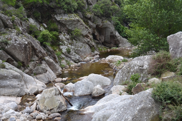 Les Gorges D'Heric ( Mons-la-Trivalle )