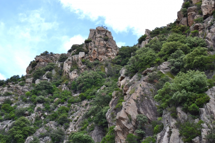 Les Gorges D'Heric ( Mons-la-Trivalle )