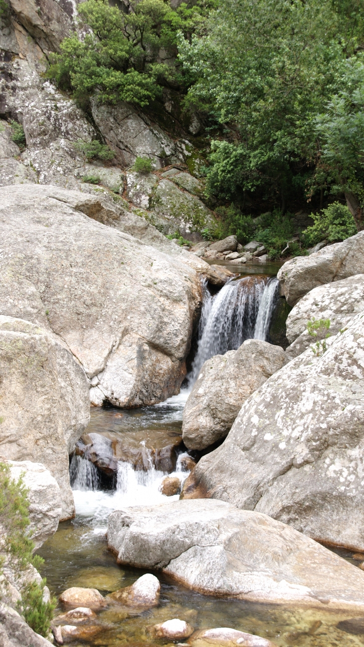 Les Gorges D'Heric ( Mons-la-Trivalle )