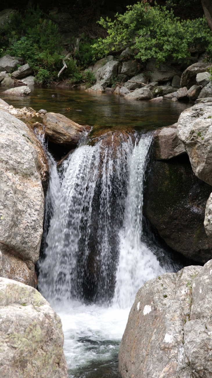 Les Gorges D'Heric ( Mons-la-Trivalle )