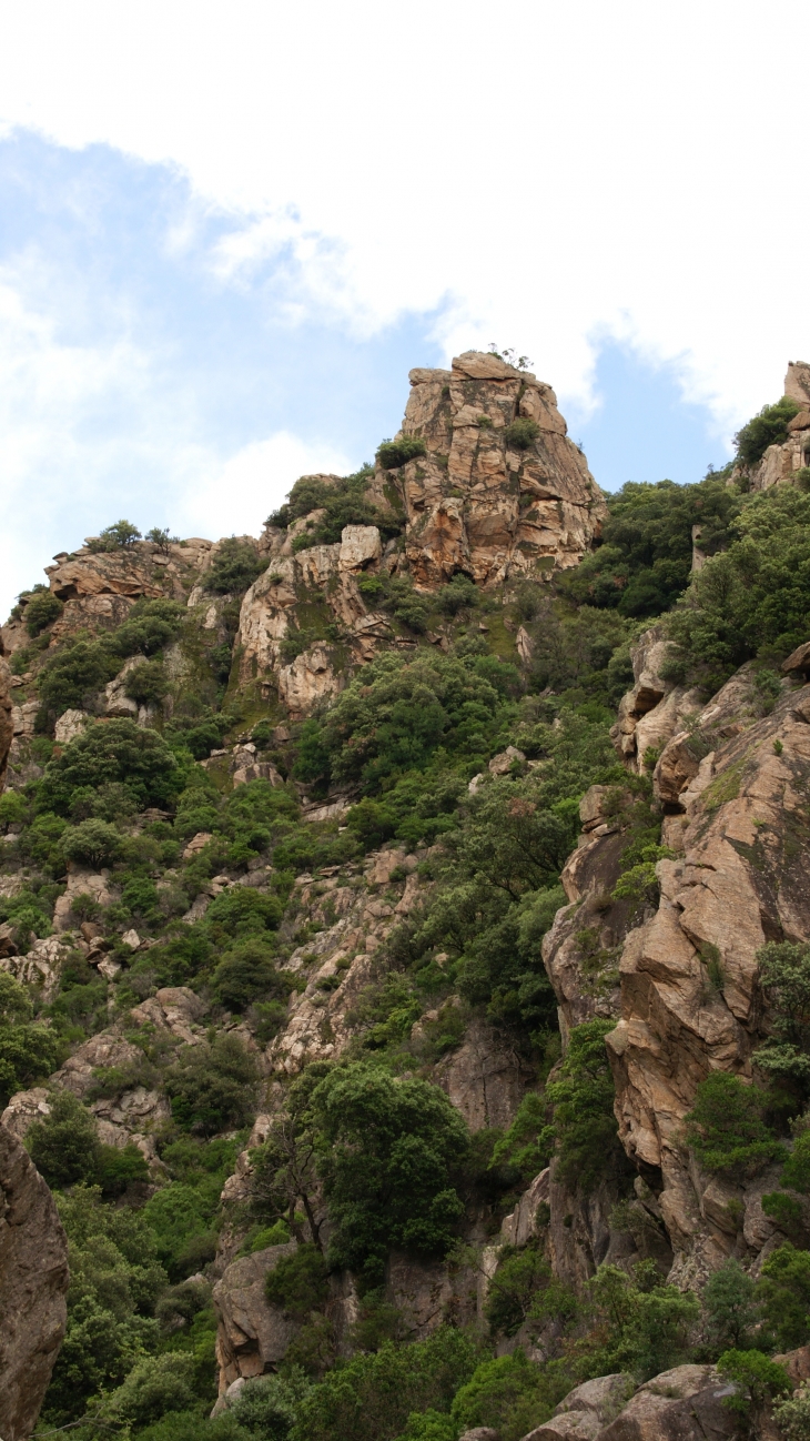 Les Gorges D'Heric ( Mons-la-Trivalle )