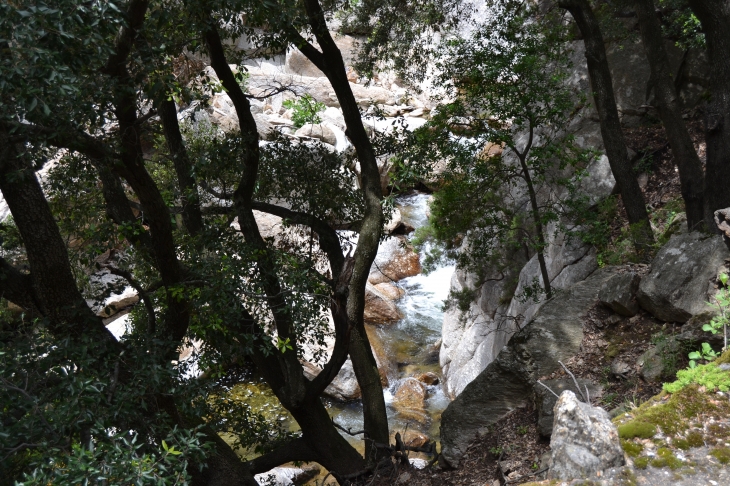 Les Gorges D'Heric ( Mons-la-Trivalle )