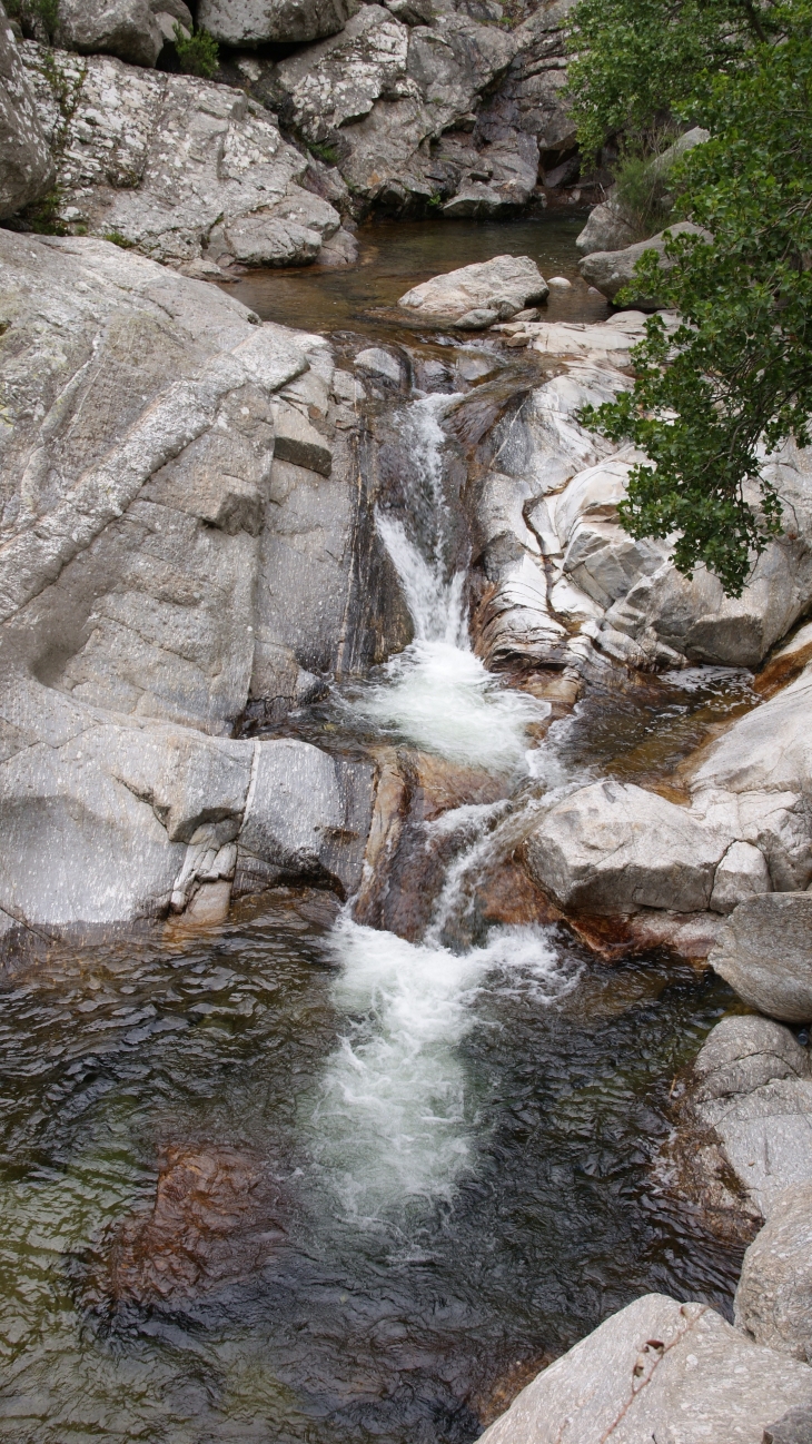 Les Gorges D'Heric ( Mons-la-Trivalle )