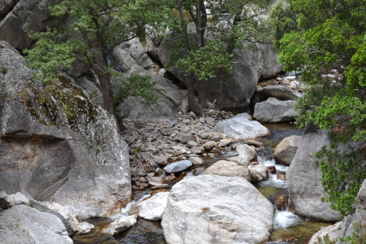 Les Gorges D'Heric ( Mons-la-Trivalle )