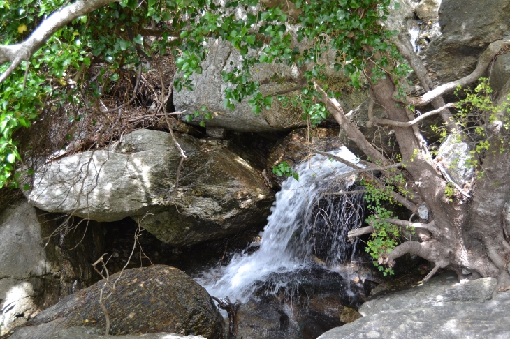 Les Gorges D'Heric ( Mons-la-Trivalle )